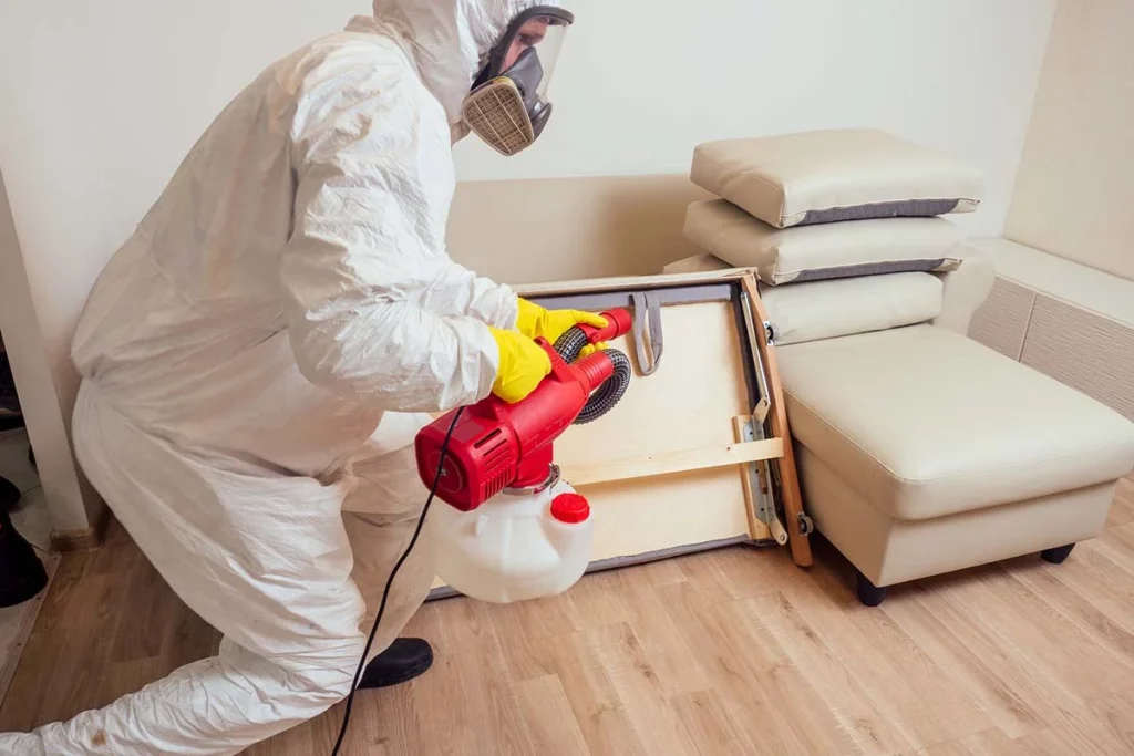 The Best Bed Bug Exterminators Option