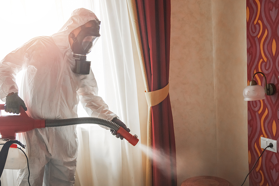 exterminator using heat treatment